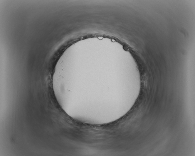 X0000113331495200910131138