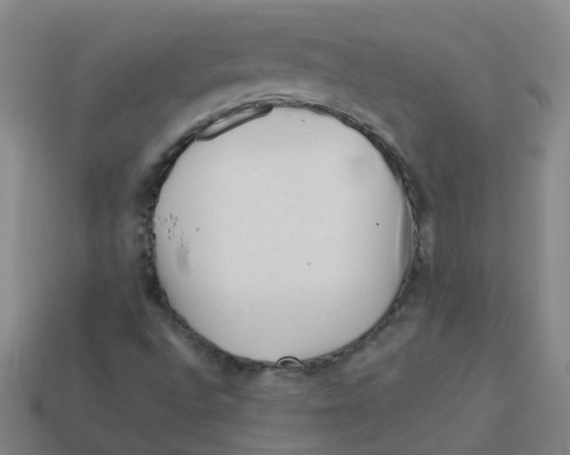 X0000113331496200910131138