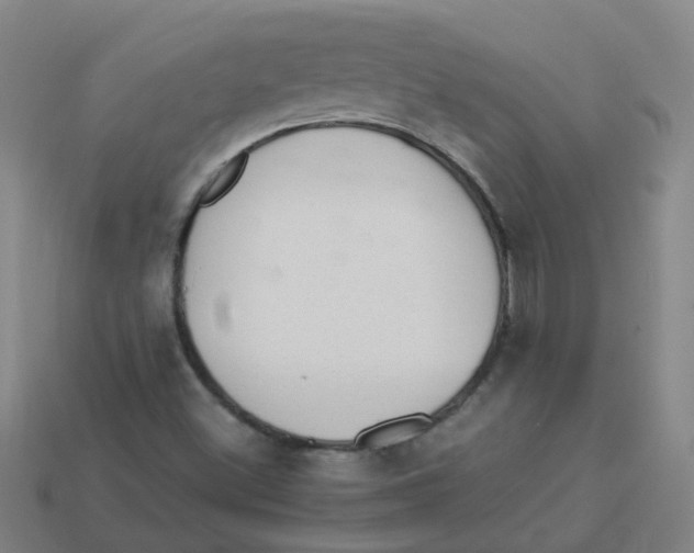 X0000113331500200910131138