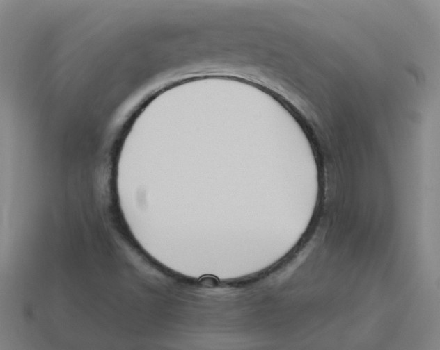 X0000113331502200910131138