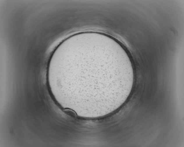 X0000113331504200910131138
