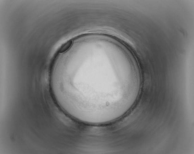 X0000113331506200910131138