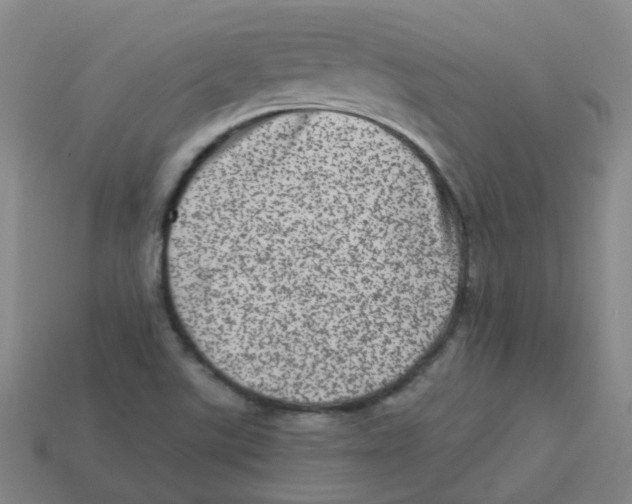 X0000113331507200910131138