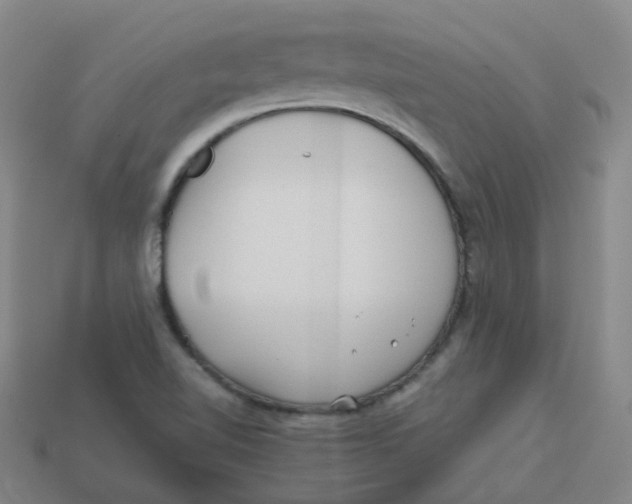 X0000113331510200910131138