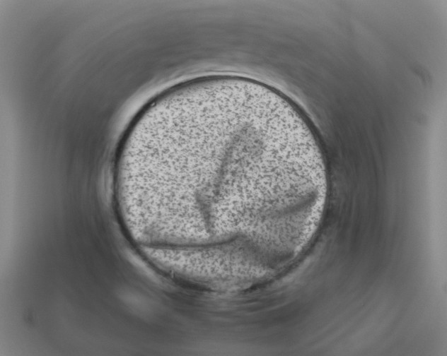 X0000113331511200910131138