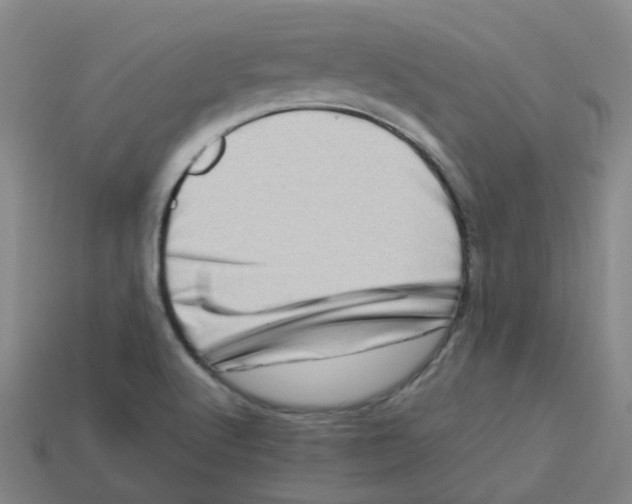 X0000113331512200910131138