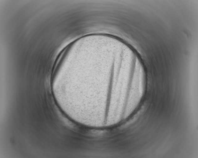X0000113331513200910131138