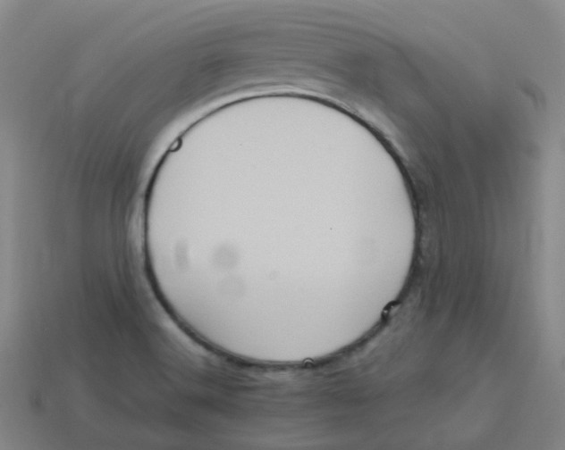 X0000113331516200910131138