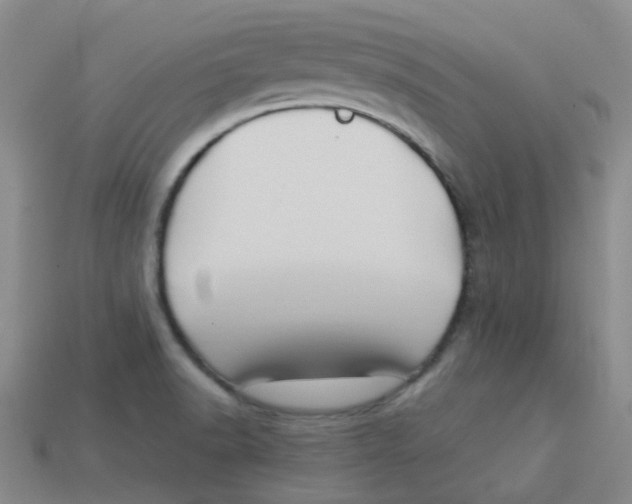 X0000113331518200910131138