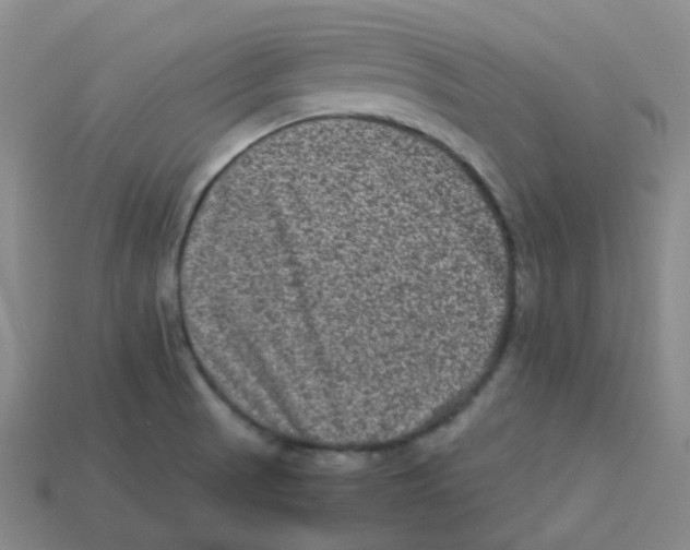 X0000113331521200910131138