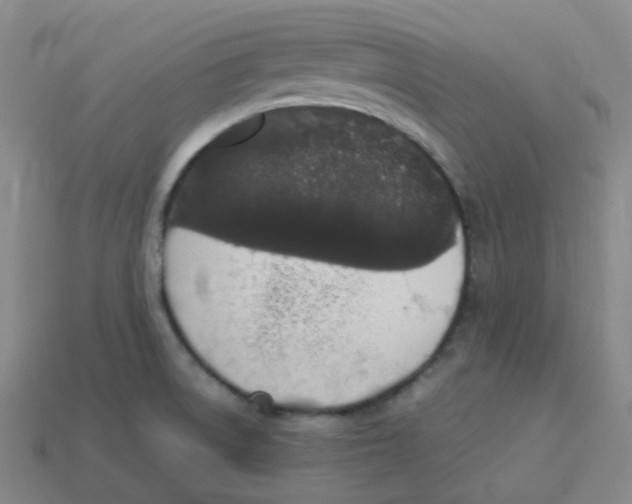 X0000113331522200910131138