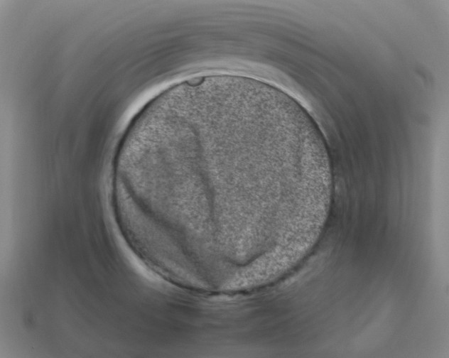 X0000113331523200910131138