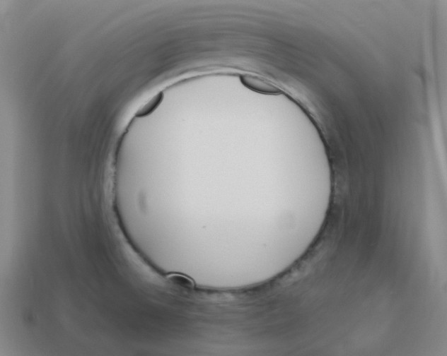 X0000113331524200910131138