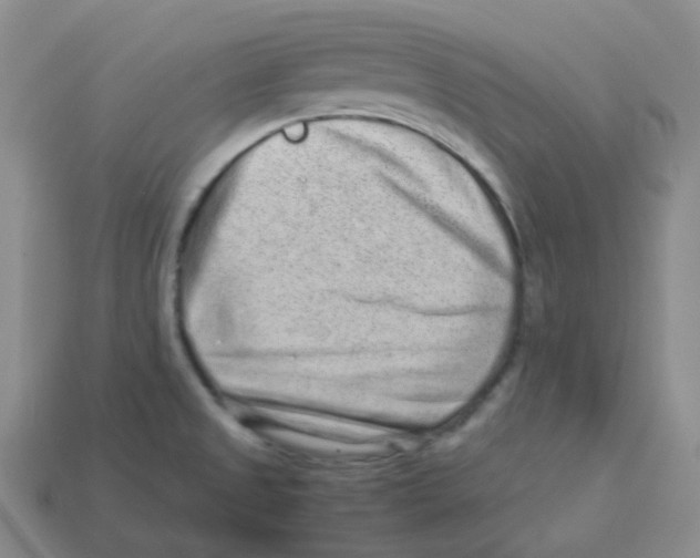 X0000113331525200910131138