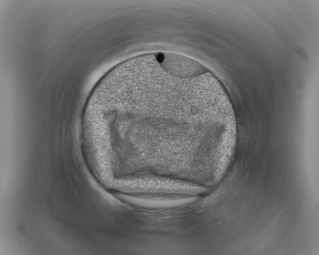 X0000113331527200910131138