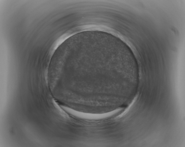 X0000113331529200910131138