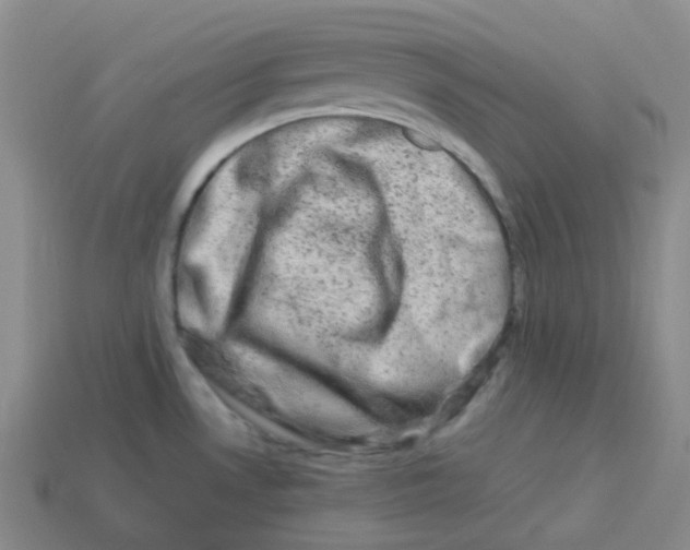 X0000113331530200910131138