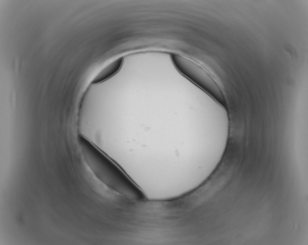 X0000113331532200910131138