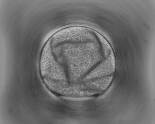 X0000113331533200910131138