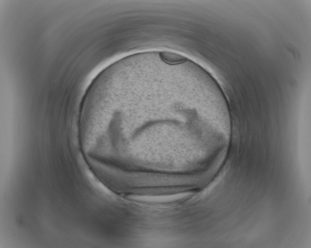 X0000113331534200910131138