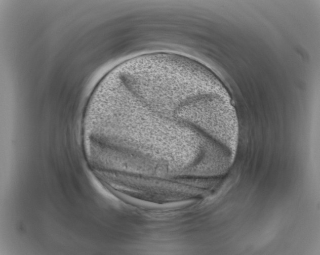 X0000113331535200910131138