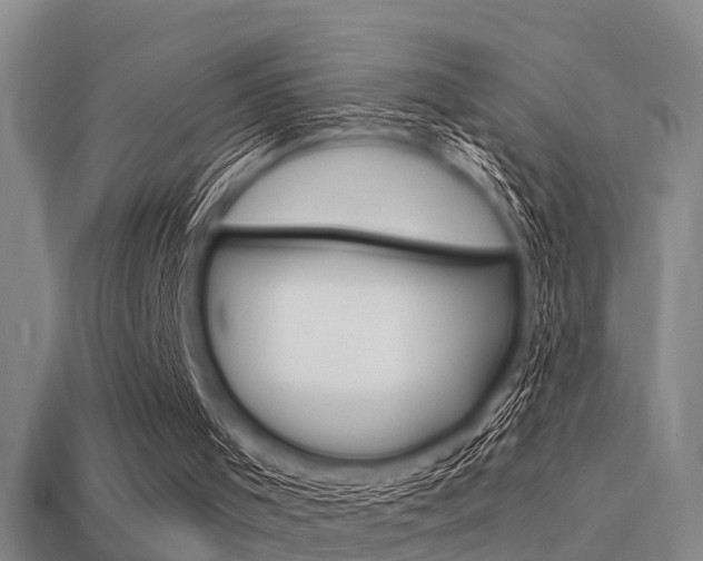 X0000113340001200909151015
