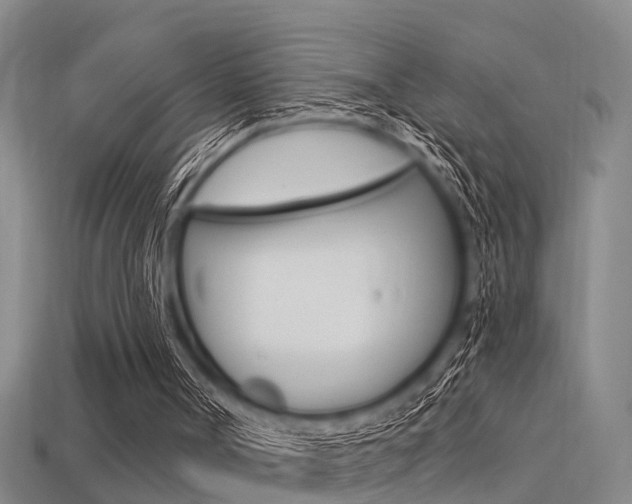 X0000113340002200909151015
