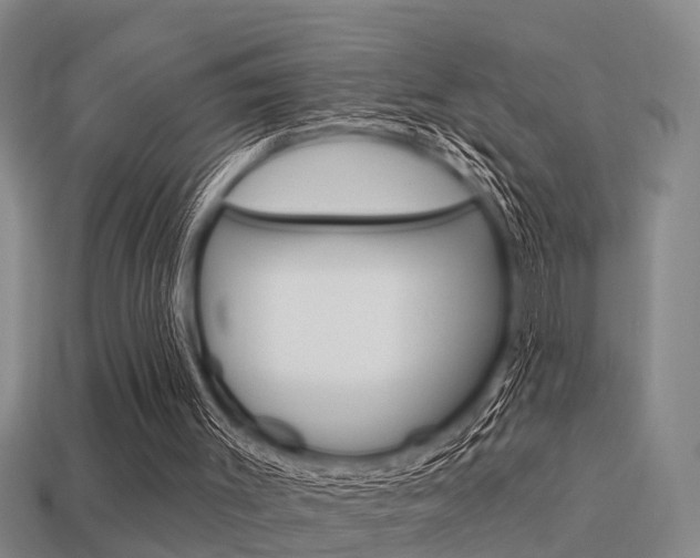 X0000113340003200909151015