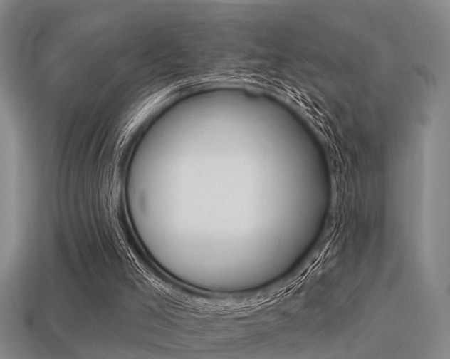X0000113340005200909151015