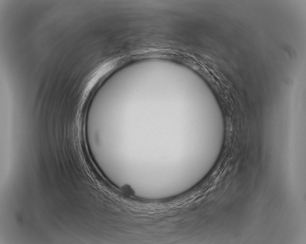 X0000113340006200909151015