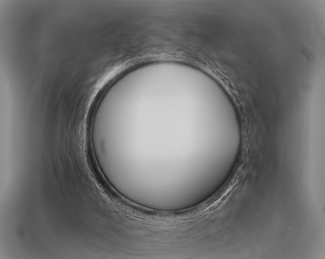 X0000113340008200909151015