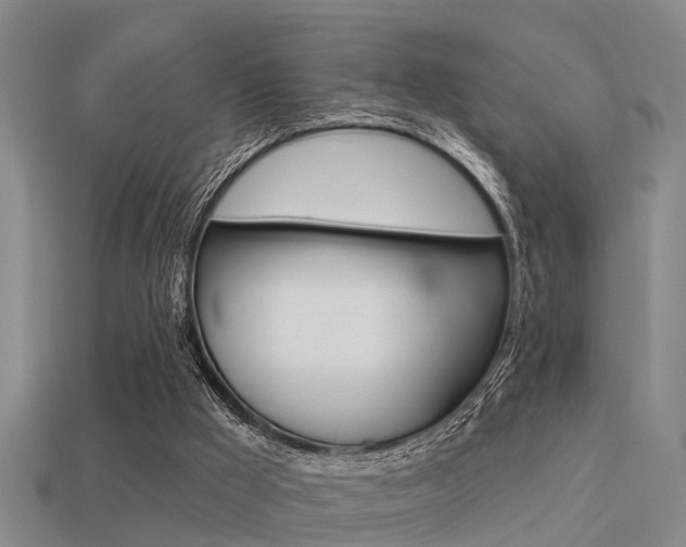 X0000113340009200909151015