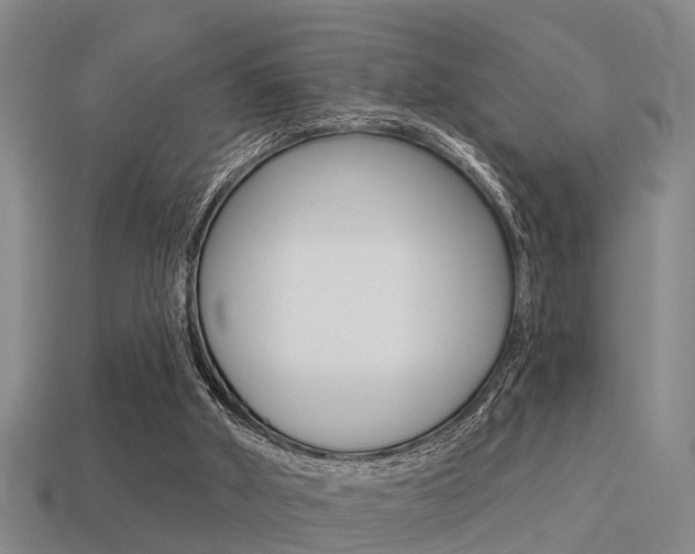 X0000113340010200909151015