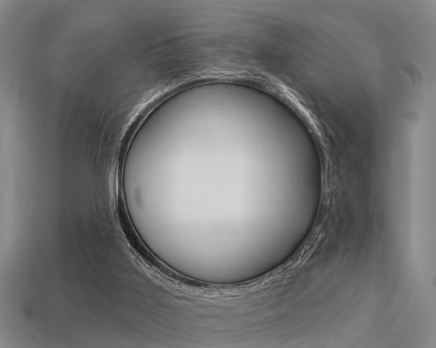 X0000113340011200909151015
