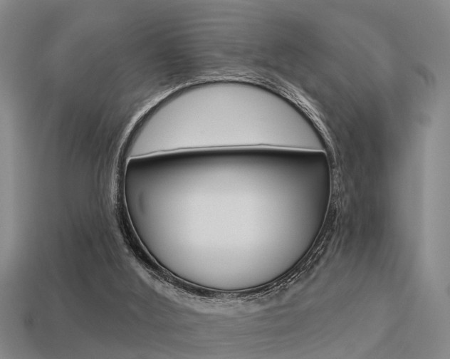 X0000113340012200909151015