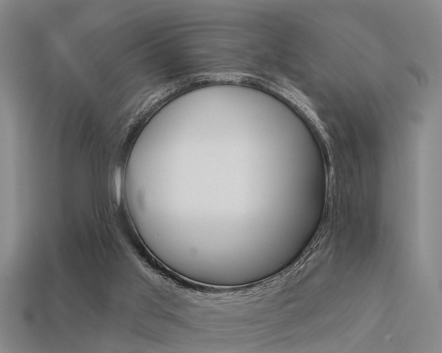 X0000113340013200909151015
