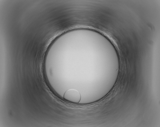 X0000113340015200909151015