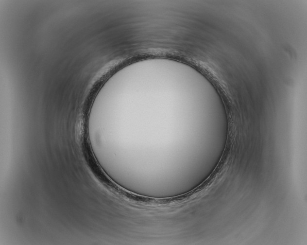 X0000113340016200909151015