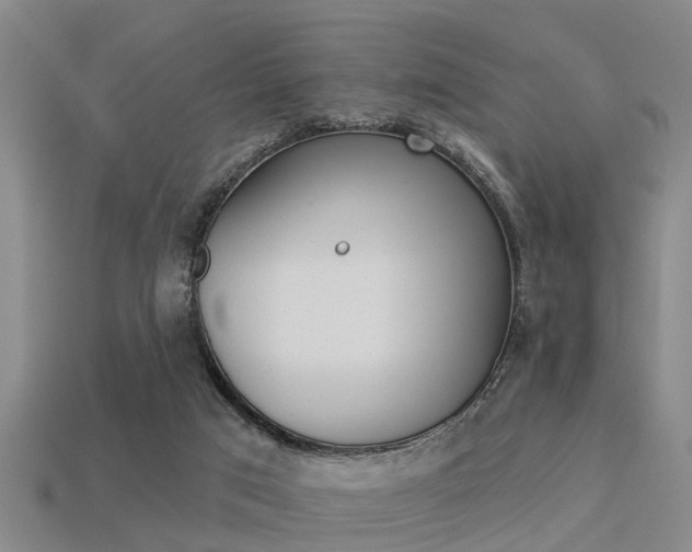 X0000113340017200909151015