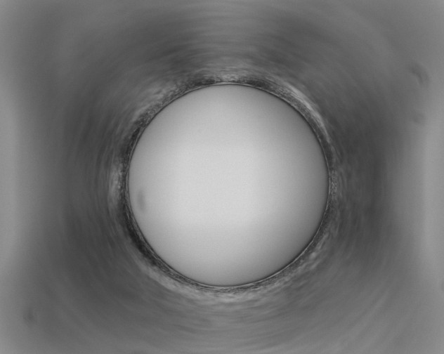 X0000113340018200909151015