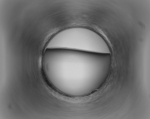 X0000113340019200909151015