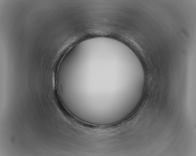 X0000113340020200909151015