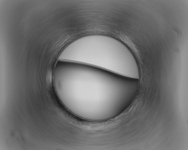 X0000113340021200909151015