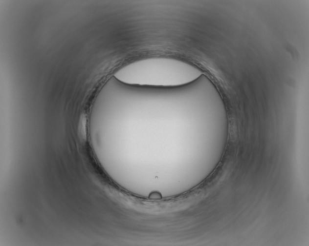 X0000113340022200909151015
