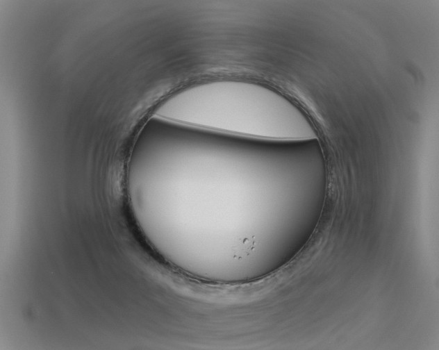 X0000113340023200909151015