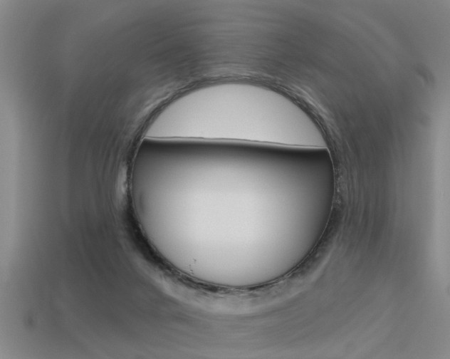 X0000113340024200909151015