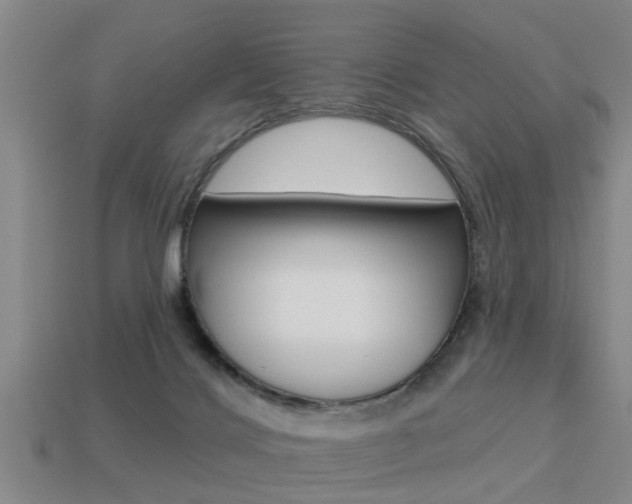 X0000113340028200909151015