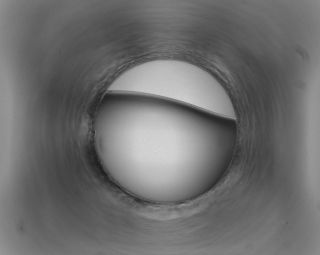 X0000113340029200909151015