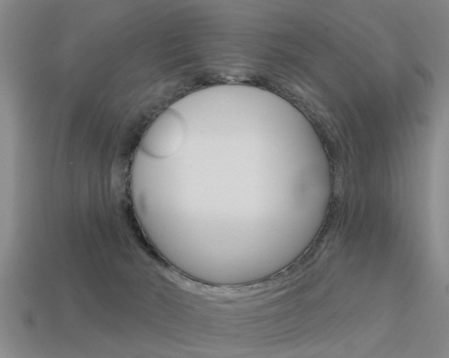 X0000113340030200909151015