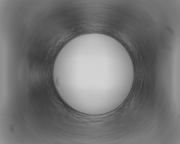 X0000113340031200909151015
